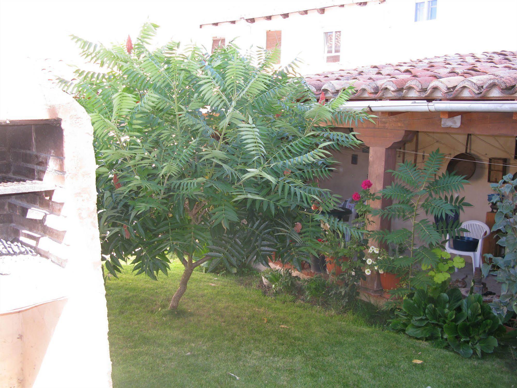 Casa Rural Arturo I Sahagun Exterior photo